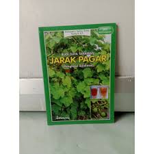 Budidaya Tanaman Jarak Pagar Penghasil Biodisel