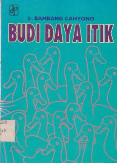 Budi Daya Itik